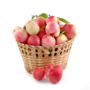 더 나은 건강을 위해 GrassFed 육류 및 가금류를 선택해야 하는 이유